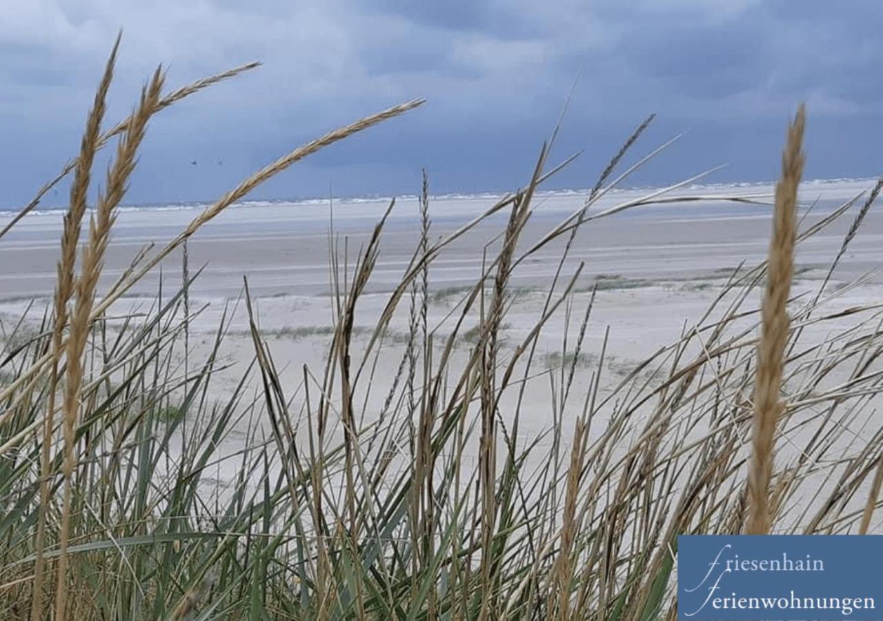 Friesenhain Ferienwohnungen Sankt Peter-Ording Eksteriør billede